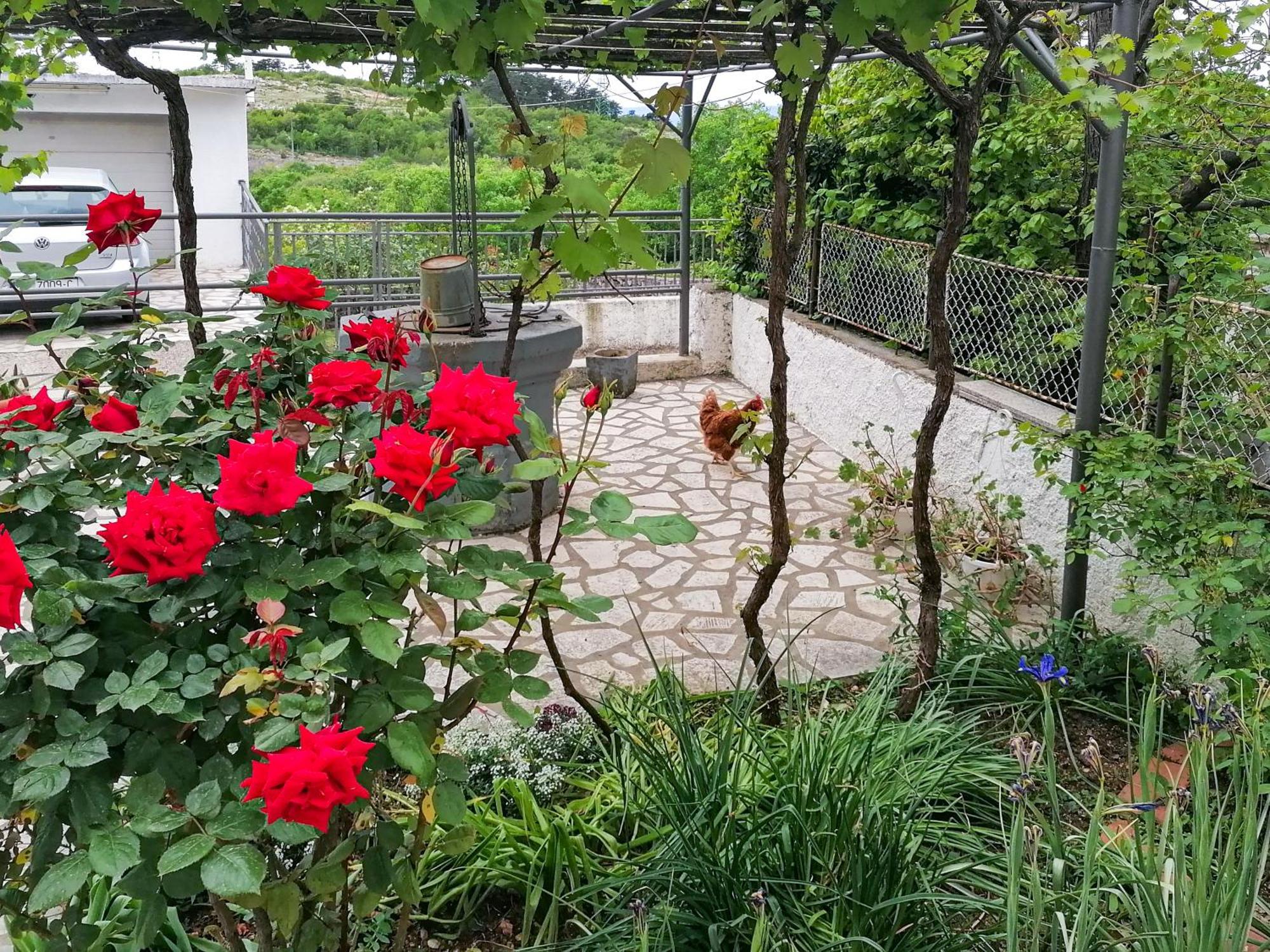 Apartman Lavanda Sa Bazenom I Okucnicom 4* Hreljin Bagian luar foto