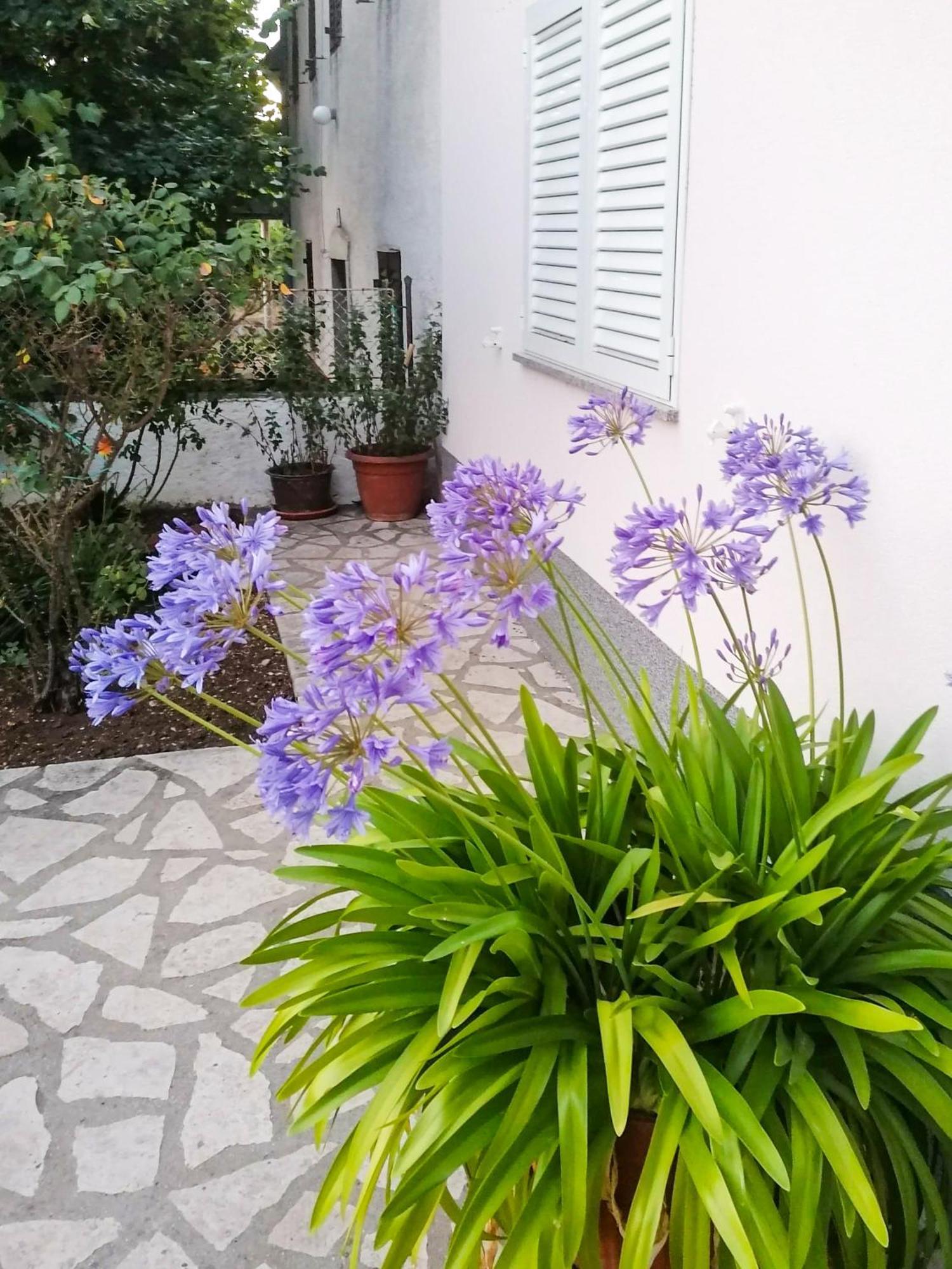 Apartman Lavanda Sa Bazenom I Okucnicom 4* Hreljin Bagian luar foto